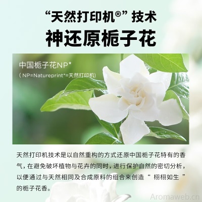 氣味圖書館（SCENT LIBRARY）无火香薰家用房间香氛 藤条香熏 节日生日礼物送女友 栀子花开【新品】