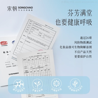 宋朝雾池仙子无火香薰家用室内卧室房间香氛精油生日礼物