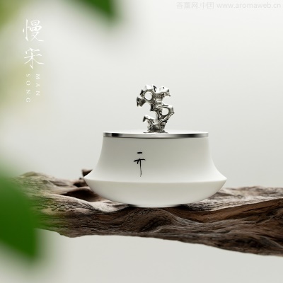 慢宋 | 盎然绿意调 绿芜青苔 香薰蜡烛礼盒装 含礼袋 节日礼物