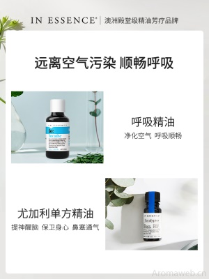 IN ESSENCE澳洲ie精油空气除箘套装提神醒脑呼吸顺畅净化空气香薰