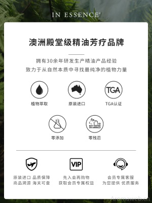 IN ESSENCE澳洲ie精油香薰蜡烛礼盒卧室小众高级生日礼物香氛精油