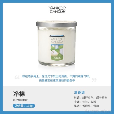 YankeeCandle扬基进口香薰蜡烛香氛卧室家用送男女友生日伴手礼物