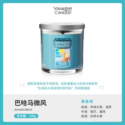YankeeCandle扬基进口香薰蜡烛香氛卧室家用送男女友生日伴手礼物