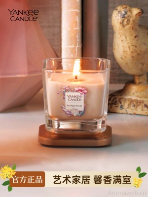 YankeeCandle扬基美国进口香薰蜡烛家用卧室持久香氛生日伴手礼物