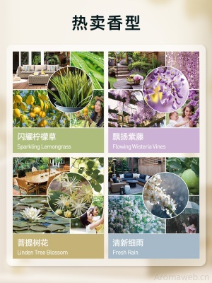 YankeeCandle扬基进口香氛薰蜡烛户外系列扩香祛味氛围感香茅烛芯