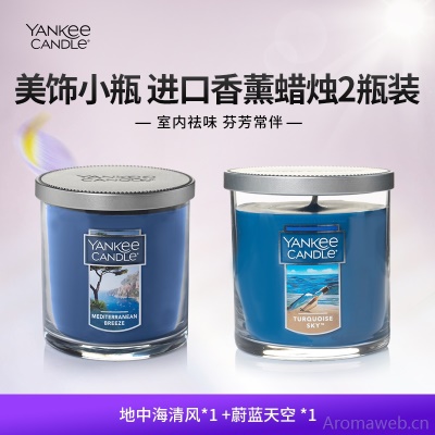 YankeeCandle扬基进口香薰蜡烛香氛卧室家用送男女友