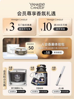 YankeeCandle扬基美国进口香薰蜡烛家用卧室持久香氛生日伴手礼物
