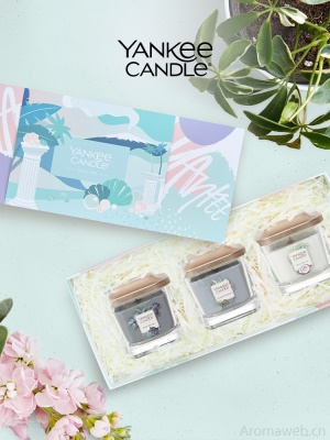 YankeeCandle扬基美国进口香薰蜡烛家用卧室持久香氛生日伴手礼物