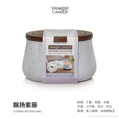 YankeeCandle扬基进口香氛薰蜡烛户外系列扩香祛味氛围感香茅烛芯
