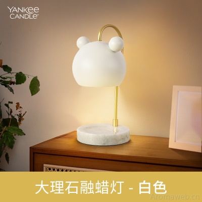 YankeeCandle扬基进口香薰蜡烛香氛卧室家用送男女友生日伴手礼物