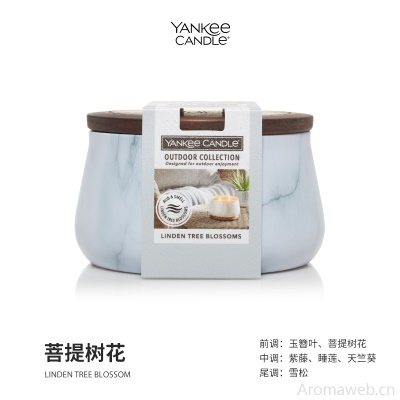 YankeeCandle扬基进口香氛薰蜡烛户外系列扩香祛味氛围感香茅烛芯