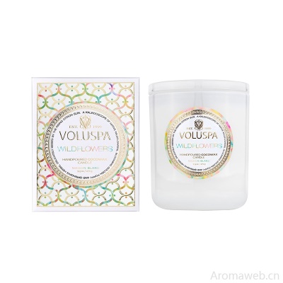美国VOLUSPA-Maison系列改款上新家居杯香薰蜡烛生日礼物礼品