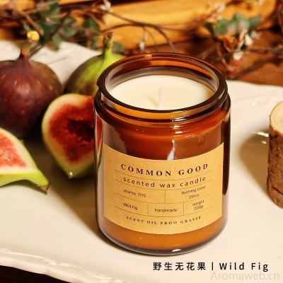 COMMON GOOD 铝盖棕色玻璃杯香薰蜡烛 天然材质香薰生日结婚礼物