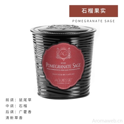 美国AQUIESSE 铁装饰罐大杯香薰蜡烛 蜡烛香氛 进口生日礼物礼品