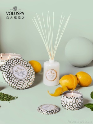美国VOLUSPA-Maison系列无火香薰藤条天然精油扩香器礼物净化空气