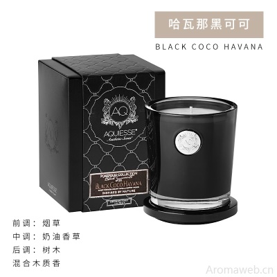 美国AQUIESSE 香薰蜡烛 大玻璃杯香薰蜡烛  生日结婚礼物礼品进口