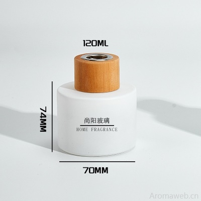 简约香薰瓶玻璃瓶空瓶无火藤条挥发香氛瓶扩香瓶哑白系列摆件空瓶