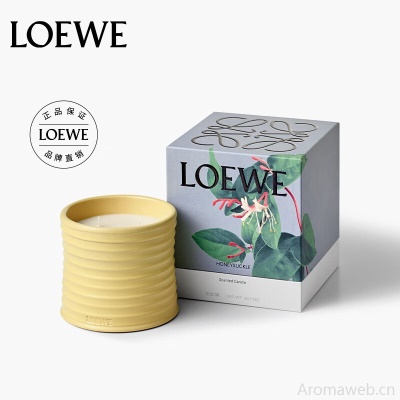 LOEWE罗意威香氛 甜菜根香薰蜡烛170g小号 小众礼品礼物