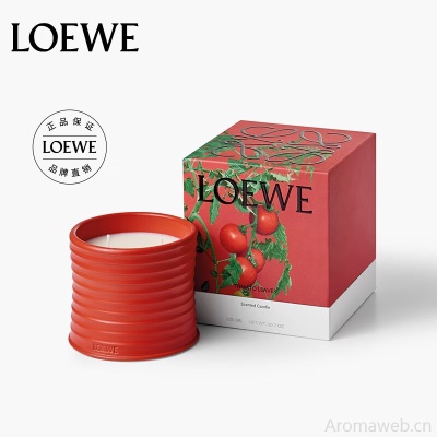LOEWE罗意威香氛 甜菜根香薰蜡烛170g小号 小众礼品礼物