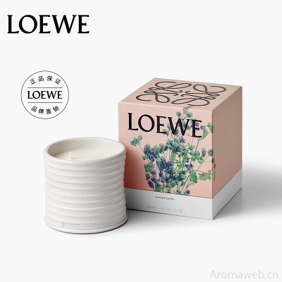 LOEWE罗意威香氛 甜菜根香薰蜡烛170g小号 小众礼品礼物
