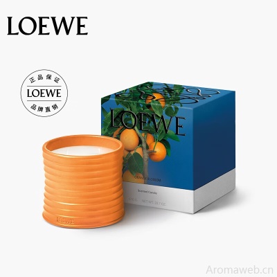 LOEWE罗意威香氛 甜菜根香薰蜡烛170g小号 小众礼品礼物