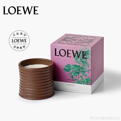 LOEWE罗意威香氛 金银花香薰蜡烛2120g大号 小众礼物