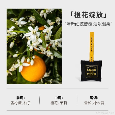 芳心悦车载香薰出风口汽车内饰品家用室内香挂持久卧室衣柜香薰