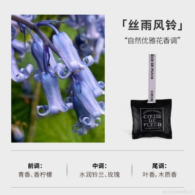 芳心悦车载香薰出风口汽车内饰品家用室内香挂持久卧室衣柜香薰