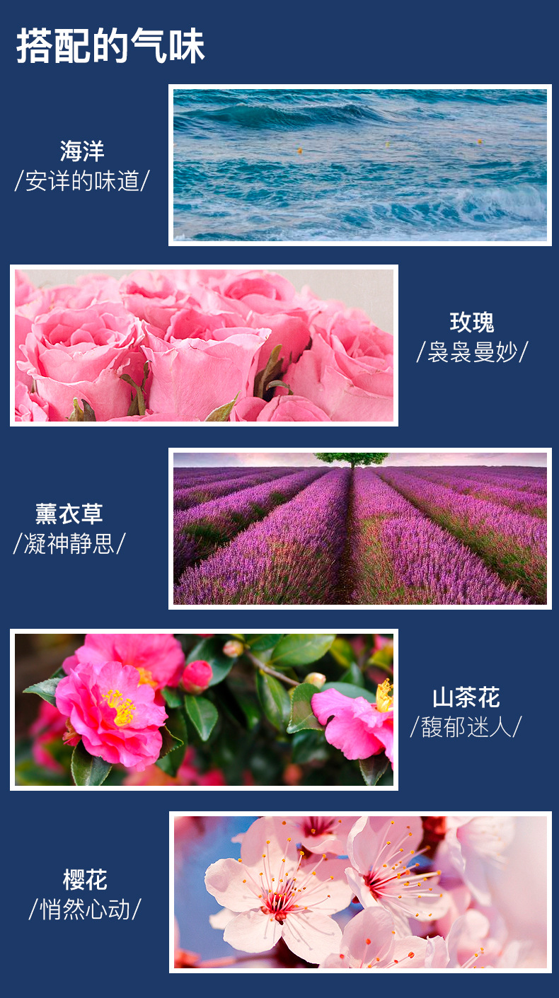 宠物香薰详情_13.jpg