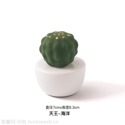 无火香薰精油家用卧室内创意可爱熏香房间摆件植物外贸批发