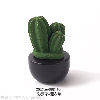 无火香薰精油家用卧室内创意可爱熏香房间摆件植物外贸批发