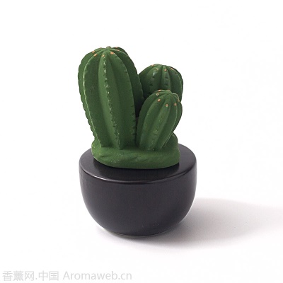 无火香薰精油家用卧室内创意可爱熏香房间摆件植物外贸批发