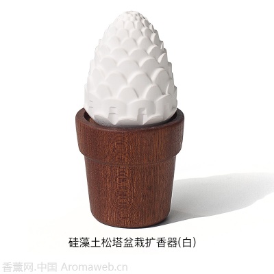 无火香薰香水香氛精油酒店家用室内持久卫生间厕所熏香摆件扩香器