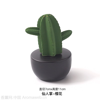 无火香薰精油家用卧室内创意可爱熏香房间摆件植物外贸批发