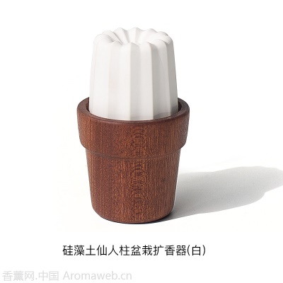 无火香薰香水香氛精油酒店家用室内持久卫生间厕所熏香摆件扩香器