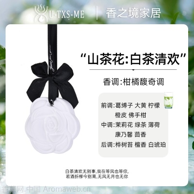 山茶花车载香薰蜡片衣厨扩香石膏香片酒店家用艾草驱蚊车载香片
